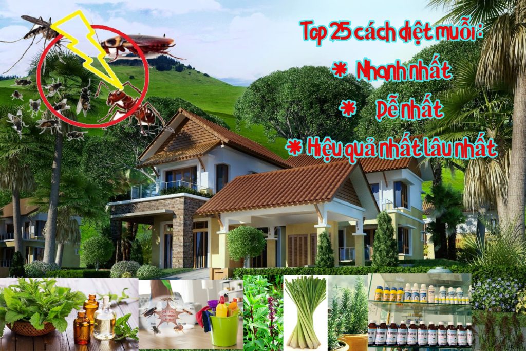 Cách đuổi muỗi