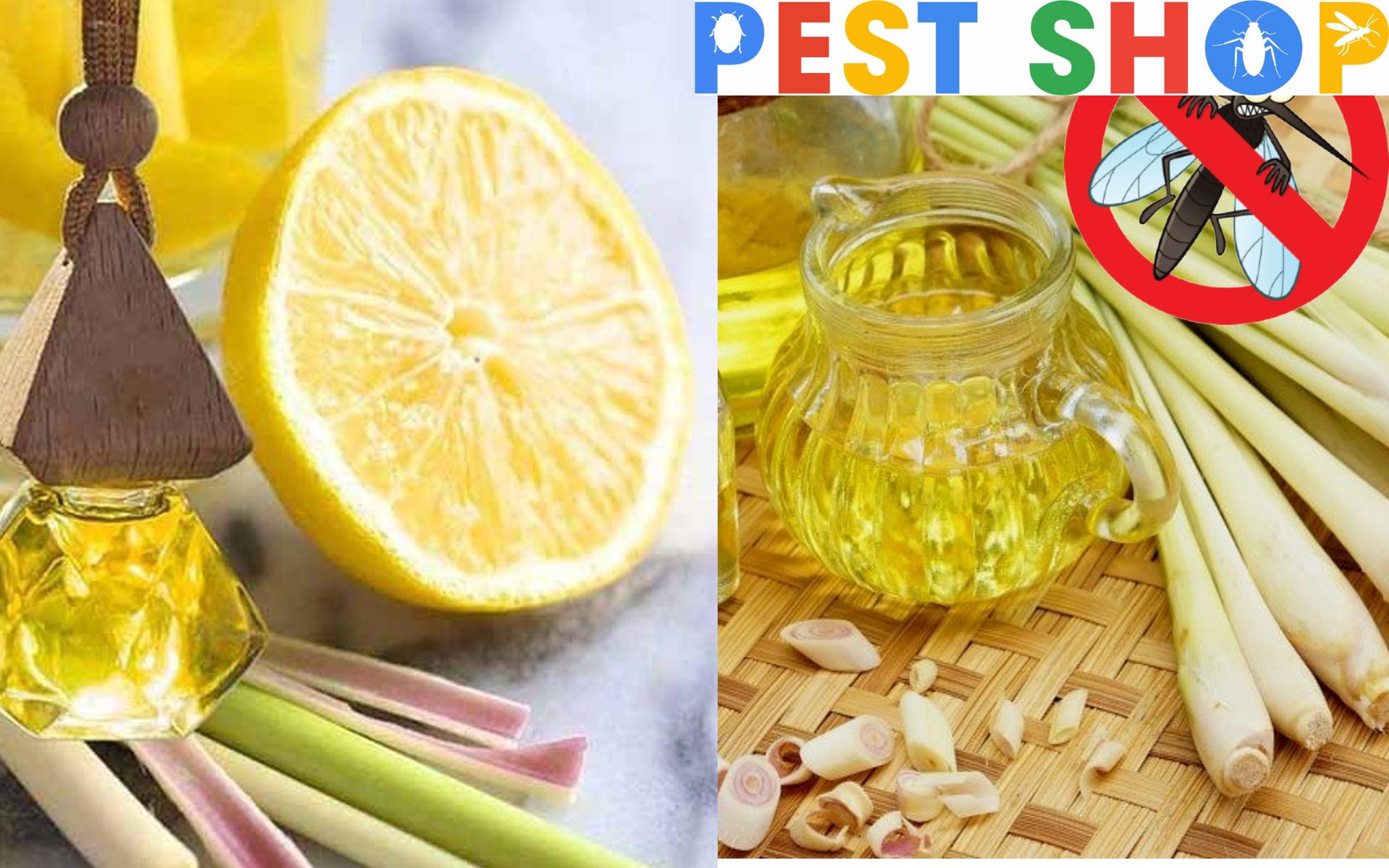 Cách đuổi muỗi bằng tinh dầu thơm