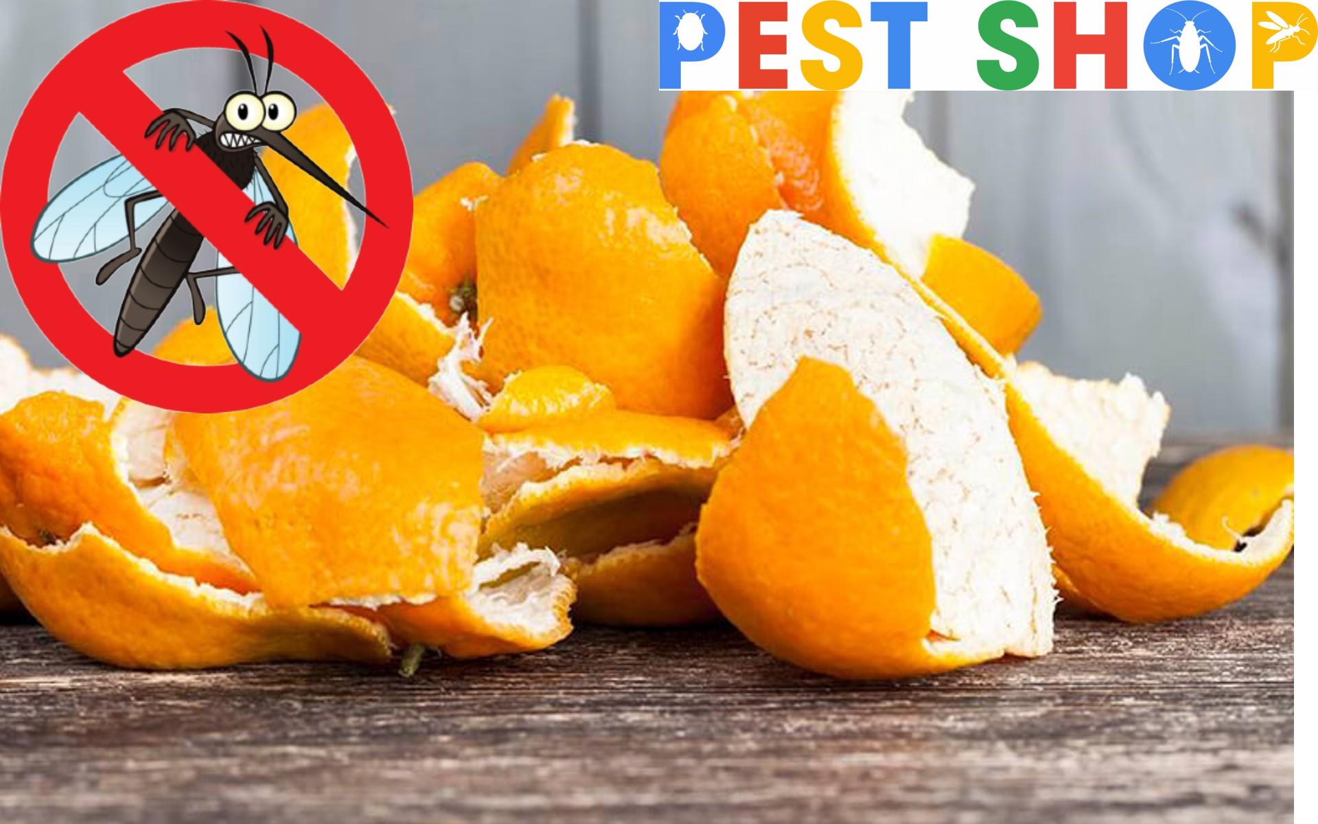 Đuổi muỗi bằng vỏ cam