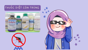 Diệt muỗi bằng thuốc diệt muỗi bộ y tế khuyên dùng