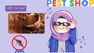 đuổi muỗi trong phòng bằng bột cà phê, bã cà phê