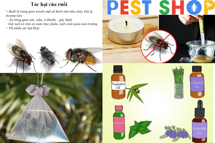 Cách đuổi ruồi hiệu quả nhất