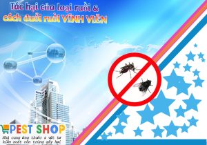 Tác hại của loại ruồi & cách đuổi ruồi VĨNH VIỄN