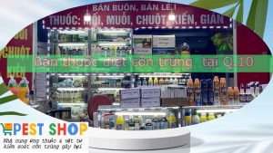 Bán thuốc diệt côn trùng tại Q.10