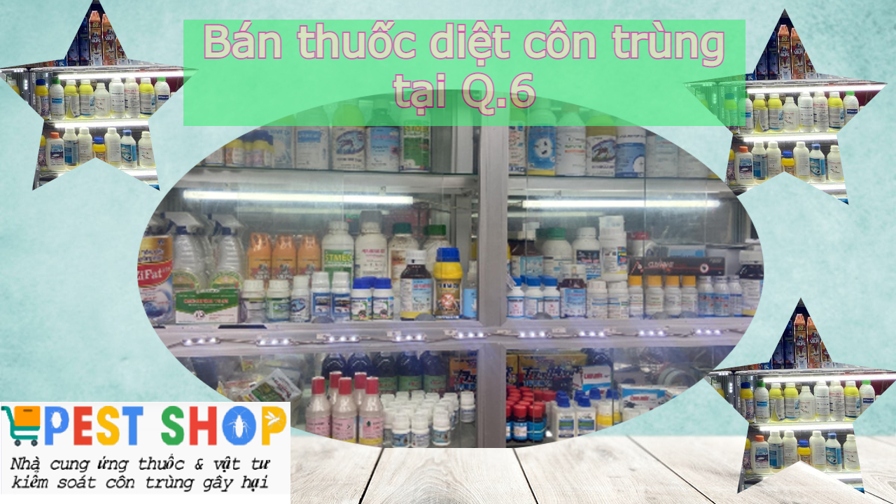 Bán thuốc diệt côn trùng tại Q.6