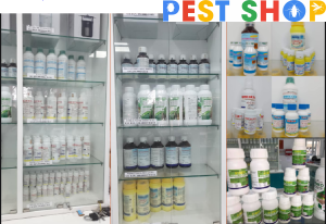 Mua thuốc diệt côn trùng tại Q.6