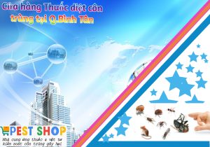 Thuốc diệt côn trùng tại Q.Bình Tân