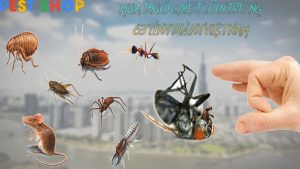 MUA THUỐC DIỆT CÔN TRÙNG