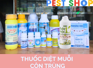 Thuốc diệt muỗi tại Hà Nội
