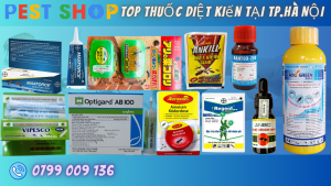 Top THUỐC DIỆT kiến TẠI TP.Hà NỘI