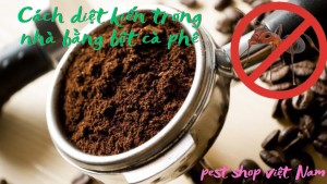Cách diệt kiến trong nhà bằng bột cà phê