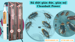 Bả diệt gián đức, gián mỹ Cleanbait Power