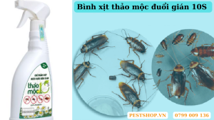 Bình xịt thảo mộc đuổi gián 10S