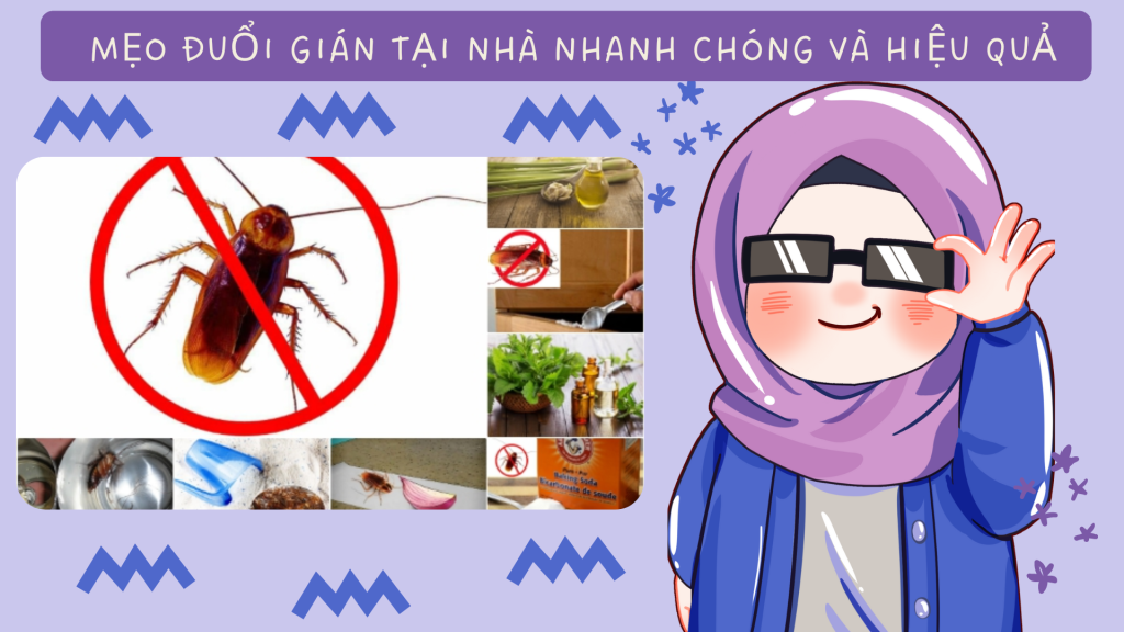 Mẹo đuổi gián tại nhà nhanh chóng và hiệu quả