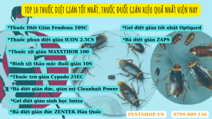TOP 10 THUỐC DIỆT GIÁN TỐT NHẤT, THUỐC ĐUỔI GIÁN HIỆU QUẢ NHẤT HIỆN NAY