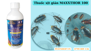Thuốc xịt gián MAXXTHOR 100