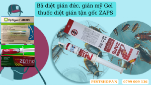 thuốc diệt gián tận gốc ZAPS