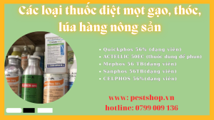 Các loại thuốc diệt mọt gạo, thóc, lúa hàng nông sản