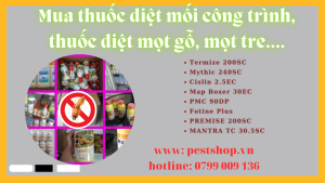 Mua thuốc diệt mối công trình, thuốc diệt mọt gỗ, mọt tre