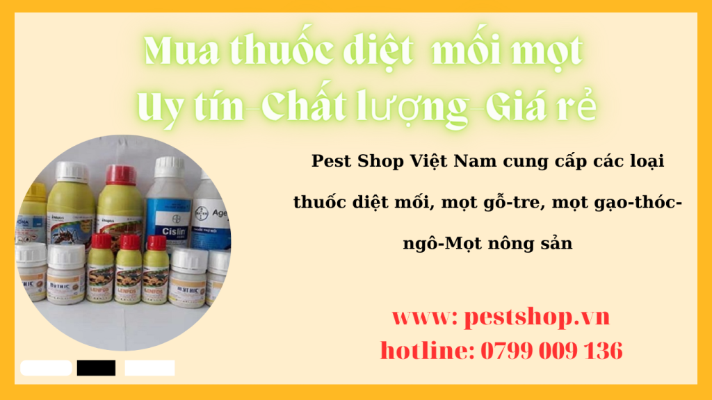 Mua thuốc diệt mối mọt Uy tín-Chất lượng-Giá rẻ