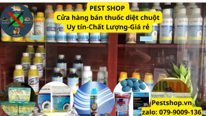 Mua thuốc diệt chuột