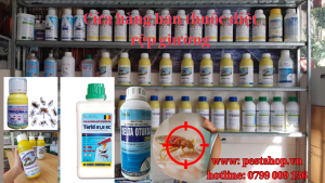 Mua thuốc diệt rệp giường