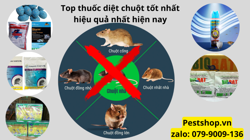 Thuốc diệt chuột tốt nhất