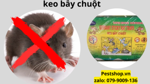 keo bẫy chuột
