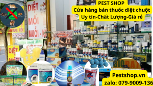 mua thuốc đuổi chuột