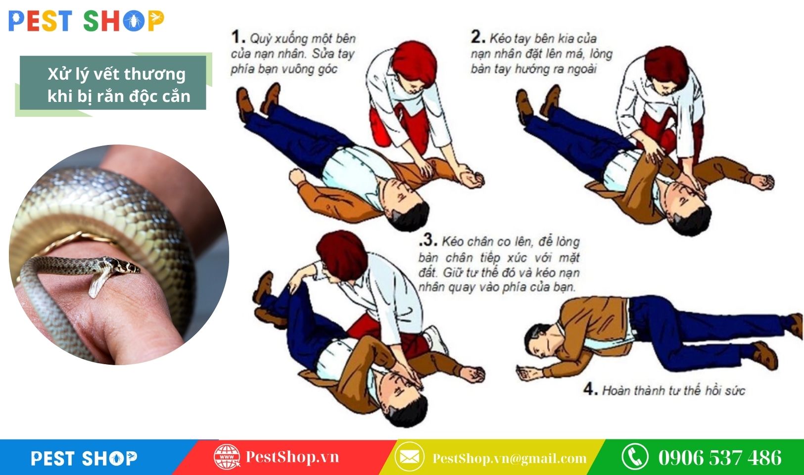 Làm gì khi bị rắn độc cắn.