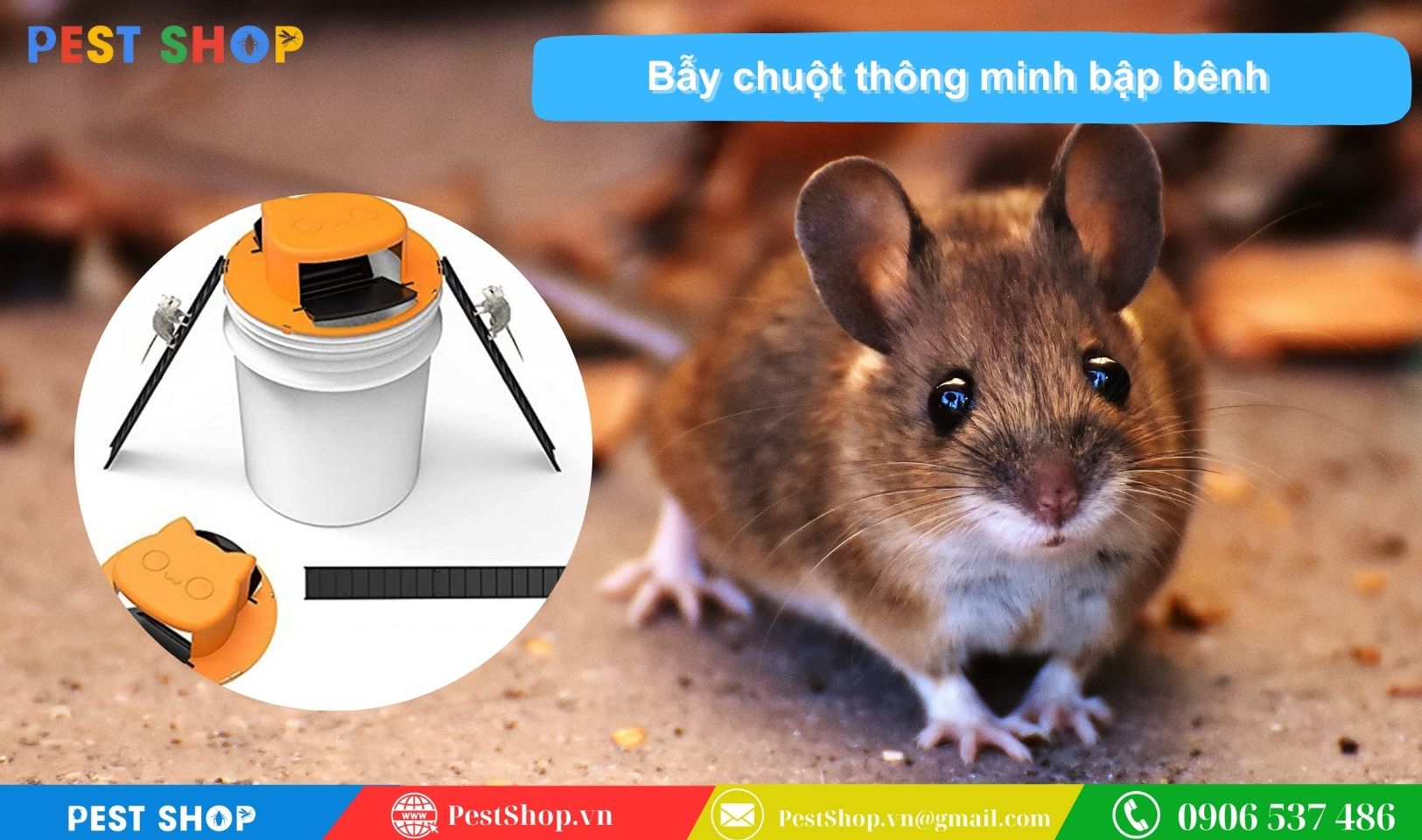 Bẫy chuột thông minh bập bênh