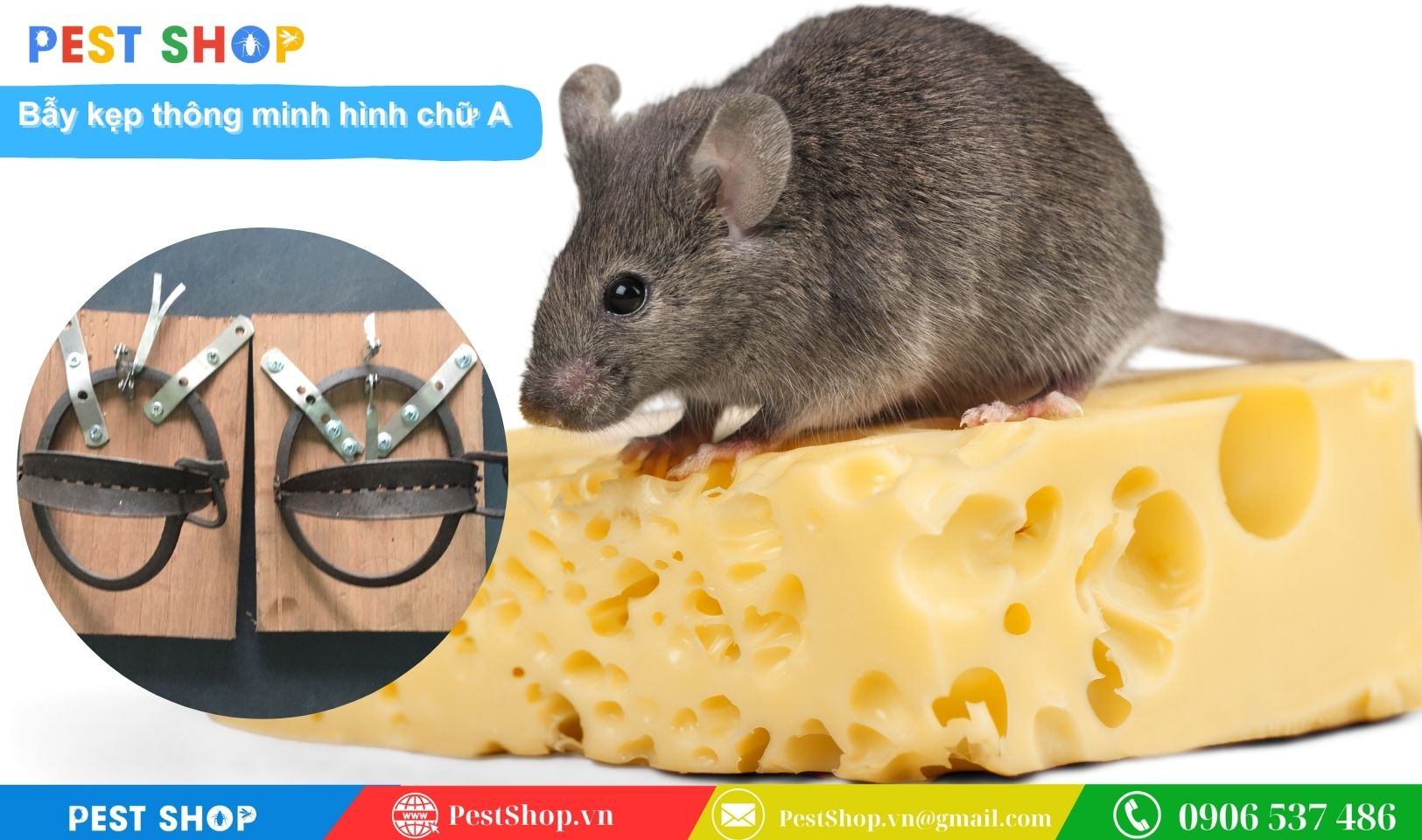 Bẫy kẹp thông minh hình chữ A