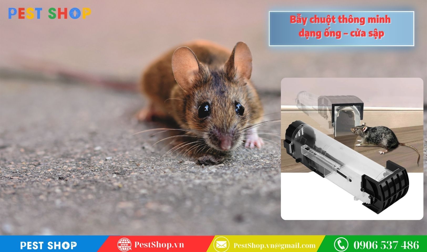 Bẫy chuột thông minh dạng ống – cửa sập