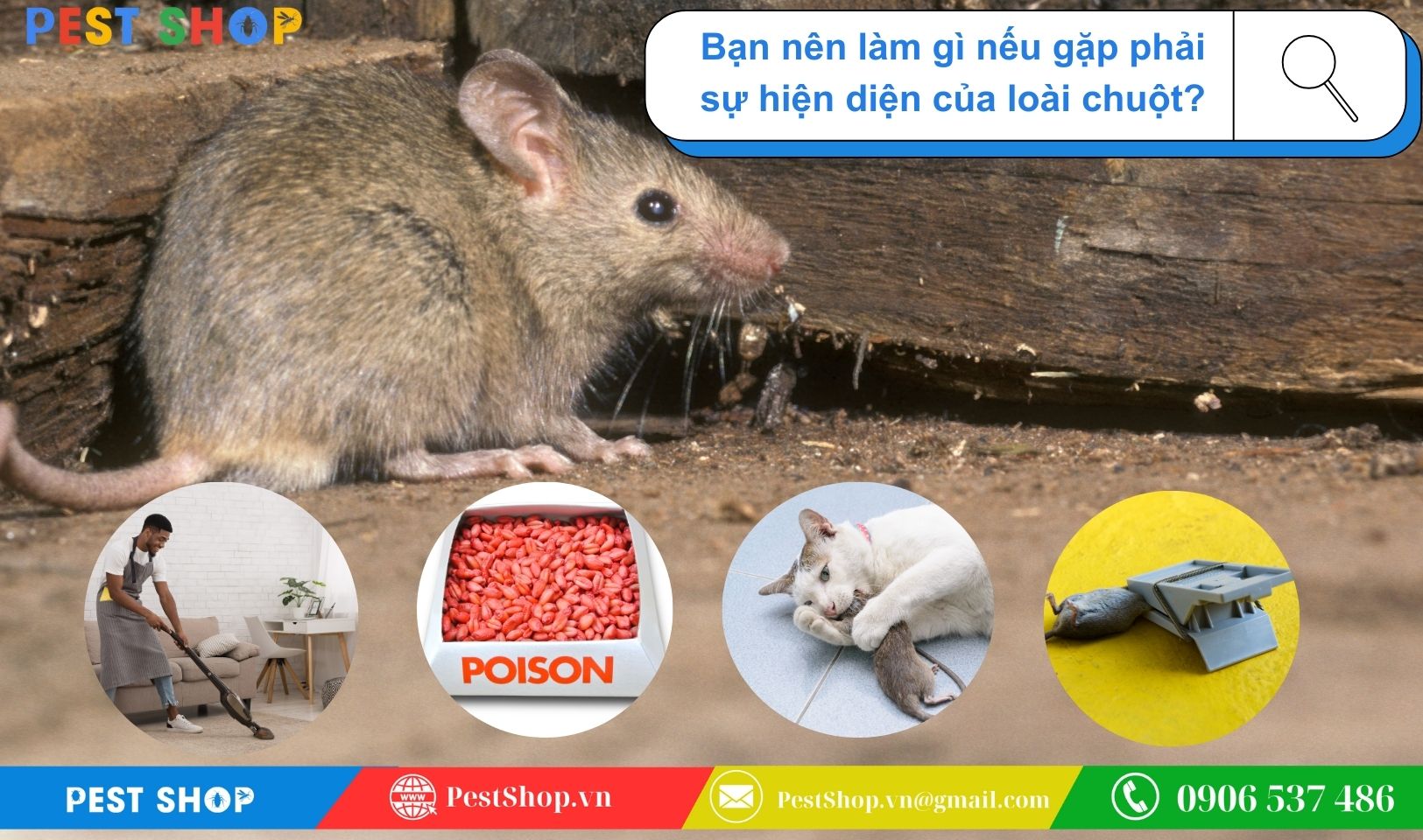 Khi nào nên sử dụng bẫy chuột thông minh