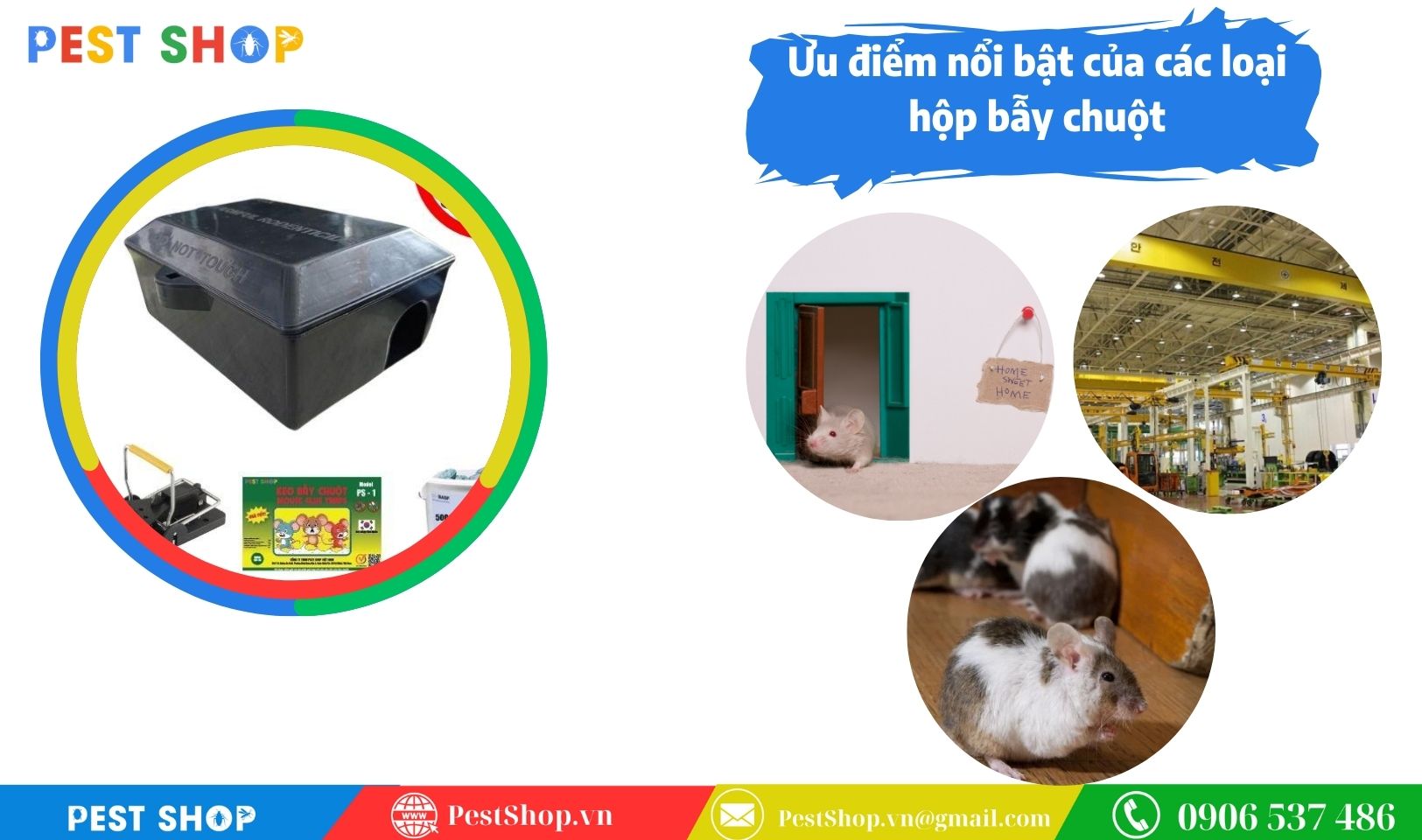 Ưu điểm nổi bật của các loại hộp bẫy chuột