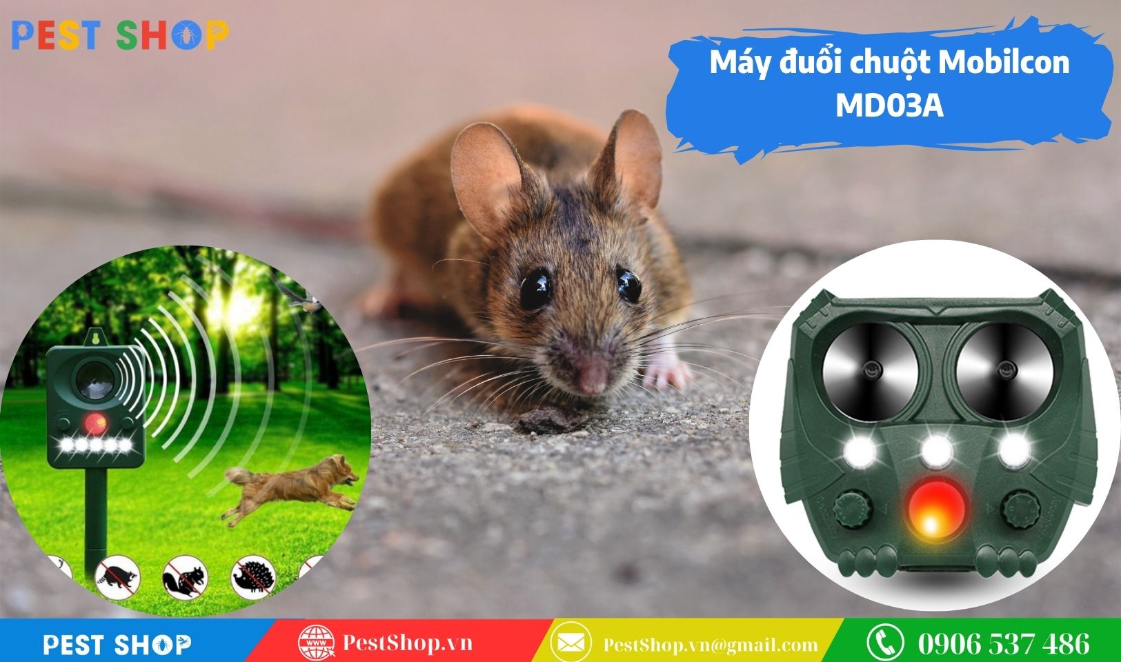 Máy đuổi chuột hình cú mèo | AMB- A3