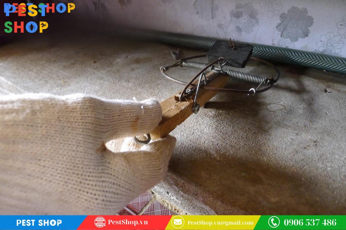 bẫy chuột bán nguyệt