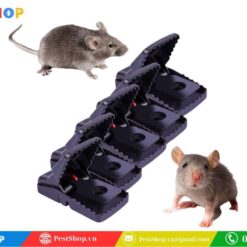 bẫy kẹp chuột