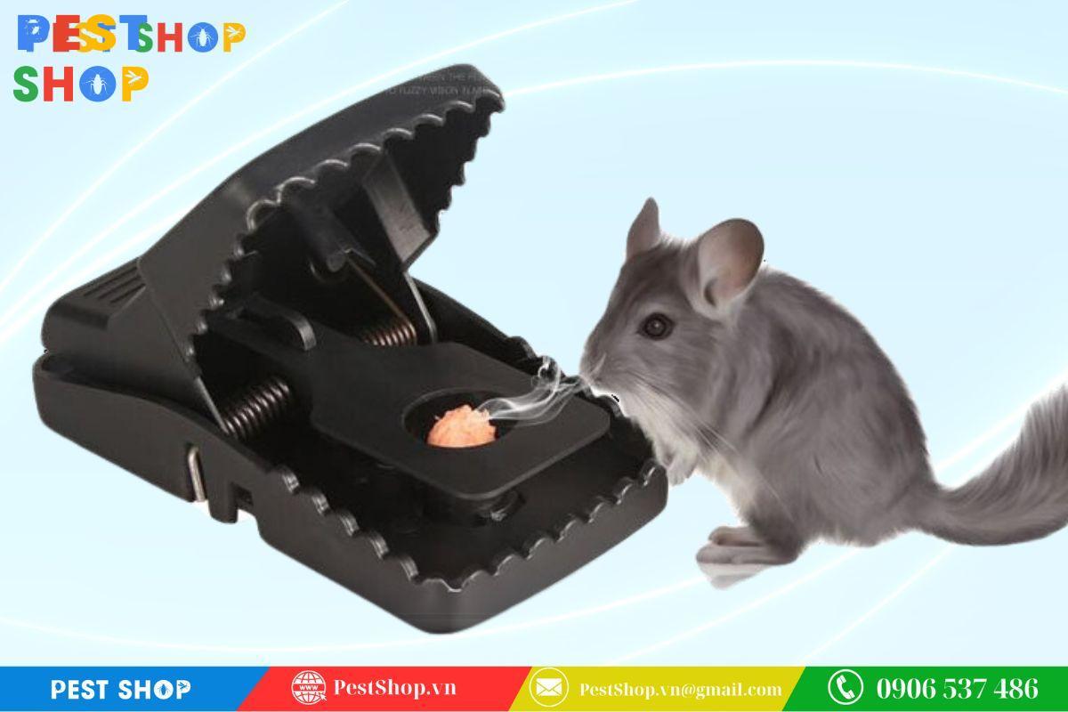 bẫy kẹp chuột